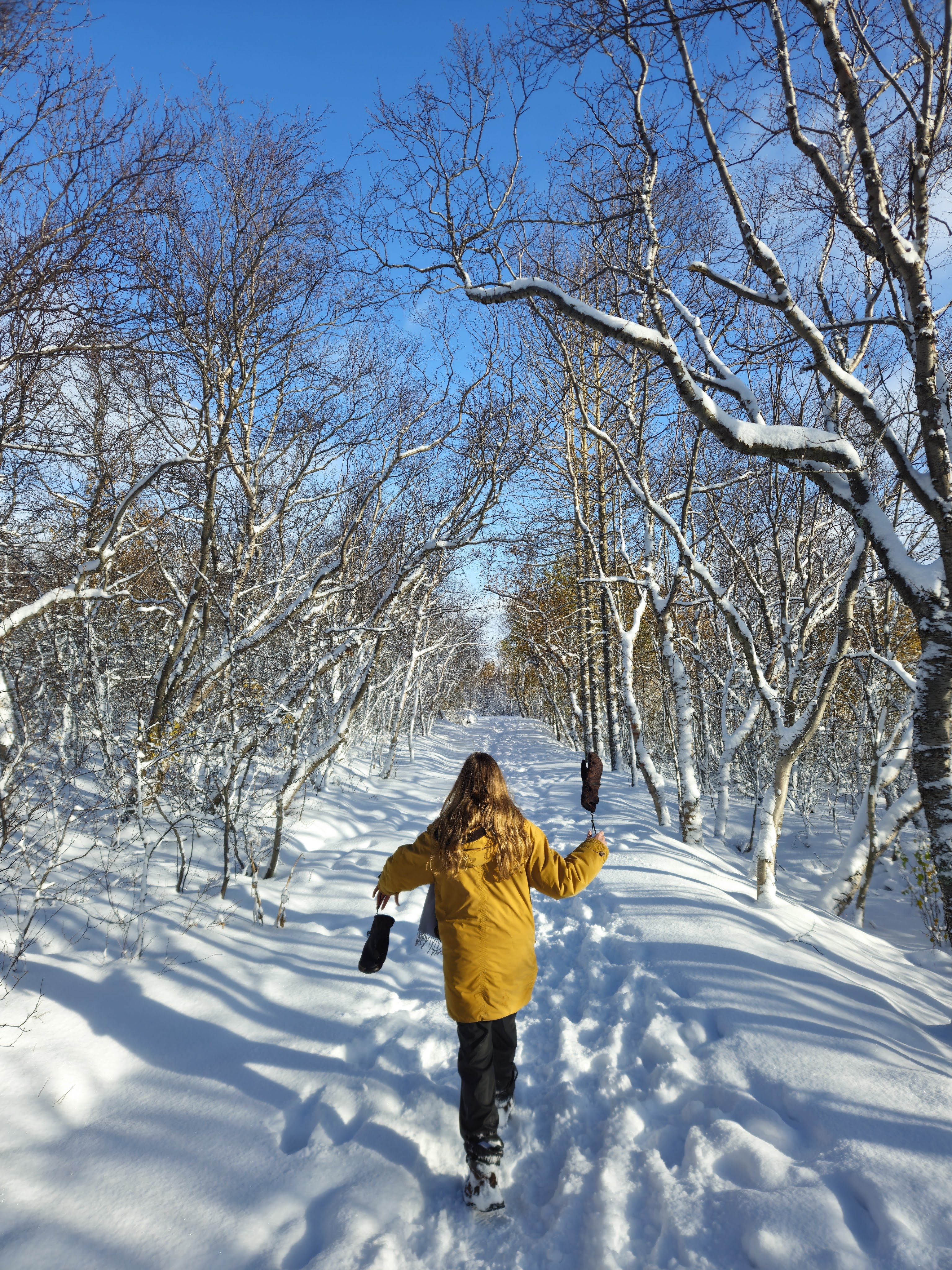 ICELAND: CONQUERING THE RING ROAD